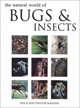 Cover art for Natural World of Bugs and Insects