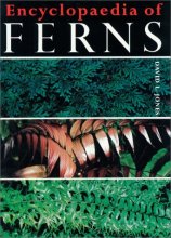 Cover art for Encyclopaedia of Ferns