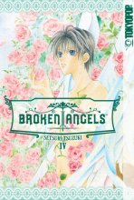 Cover art for Broken Angels Volume 4
