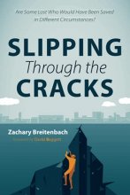 Cover art for Slipping Through the Cracks: Are Some Lost Who Would Have Been Saved in Different Circumstances?