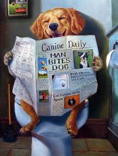 Cover art for Buffalo Games - Dog Gone Funny - 750 Piece Jigsaw Puzzle Multicolor, 24"L X 18"W