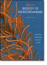 Cover art for Brock Biology of Microorganisms (12th Edition)