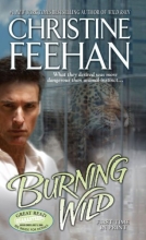 Cover art for Burning Wild (Leopard)