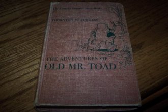 Cover art for The Adventures Of Old Mr. Toad - The Bedtime Story-books