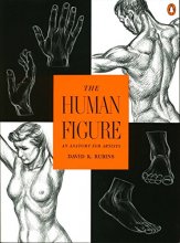 Cover art for The Human Figure: An Anatomy for Artists