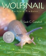 Cover art for Wolfsnail: A Backyard Predator