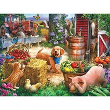 Cover art for Bits and Pieces - Hide and Seek 500 Piece Jigsaw Puzzles for Adults - Each Puzzle Measures 18" X 24" - 500 pc Jigsaws by Artist Larry Jones