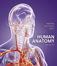 Cover art for Human Anatomy