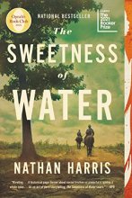 Cover art for The Sweetness of Water (Oprah's Book Club): A Novel
