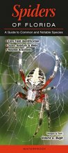 Cover art for Spiders of Florida: A guide to Common and Notable Species