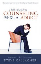 Cover art for A Biblical Guide To Counseling The Sexual Addict