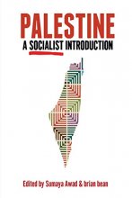 Cover art for Palestine: A Socialist Introduction