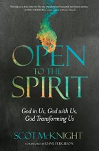 Cover art for Open to the Spirit: God in Us, God with Us, God Transforming Us