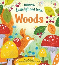 Cover art for Little Lift and Look Woods