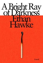 Cover art for A Bright Ray of Darkness: A novel