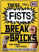 Cover art for These Fists Break Bricks: How Kung Fu Movies Swept America and Changed the World