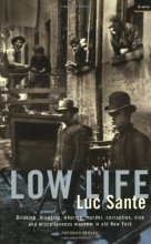 Cover art for Low Life : Drinking, Drugging, Whoring, Murder, Corruption, Vice and Miscellaneous Mayhem in Old New York