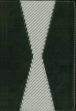 Cover art for RVR 1960/NIV Biblia bilingüe (Spanish Edition)