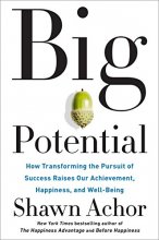 Cover art for Big Potential: How Transforming the Pursuit of Success Raises Our Achievement, Happiness, and Well-Being