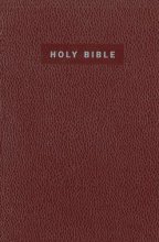 Cover art for NIV Gift and Award Bible