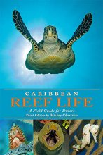 Cover art for Caribbean Reef Life