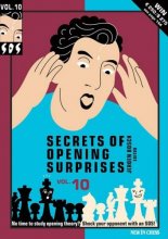 Cover art for Secrets of Opening Surprises 10