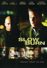 Cover art for Slow Burn