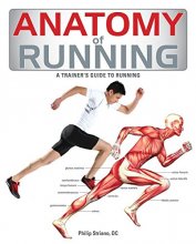 Cover art for Anatomy of Running: A Trainer's Guide to Running