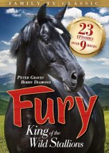 Cover art for Fury: The King of the Wild Stallions