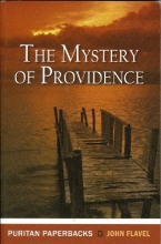 Cover art for The Mystery of Providence (Puritan Paperbacks)