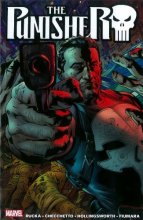 Cover art for The Punisher, Vol. 1