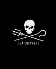 Cover art for Sea Shepherd: 1977–2017