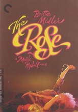 Cover art for The Rose