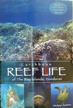 Cover art for Caribbean Reef Life of the Bay Islands, Honduras