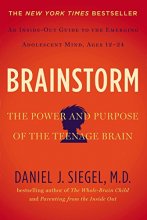 Cover art for Brainstorm: The Power and Purpose of the Teenage Brain