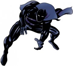 Cover art for Black Panther, Vol. 1
