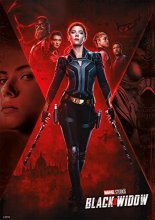 Cover art for Buffalo Games - Marvel - Black Widow - 500 Piece Jigsaw Puzzle