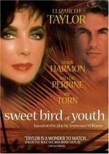 Cover art for Sweet Bird Of Youth