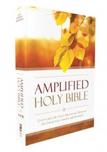 Cover art for Amplified Outreach Bible, Paperback: Capture the Full Meaning Behind the Original Greek and Hebrew