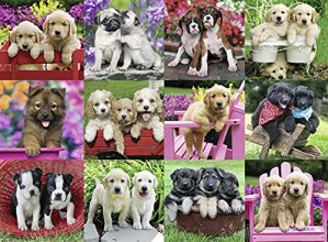 Cover art for Ravensburger Puppy Pals 500 Piece Jigsaw Puzzle for Adults – Every Piece is Unique, Softclick Technology Means Pieces Fit Together Perfectly, White