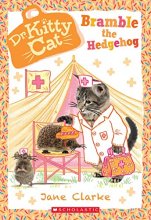 Cover art for Bramble the Hedgehog (Dr. KittyCat #10) (10)