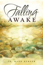 Cover art for Falling Awake