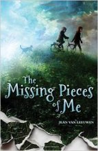 Cover art for The Missing Pieces of Me