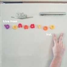 Cover art for Live From Bonnaroo Vol. 2