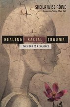 Cover art for Healing Racial Trauma: The Road to Resilience