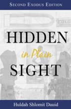 Cover art for Hidden in Plain Sight: The Revelation of the Son's of Yah in America