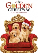 Cover art for Golden Christmas