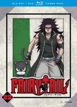 Cover art for Fairy Tail: Part 22 [Blu-ray]