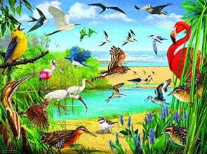 Cover art for SUNSOUT INC - Florida Birds - 1000 pc Jigsaw Puzzle by Artist: R. Christopher Vest - Finished Size 20" x 27" - MPN# 70028