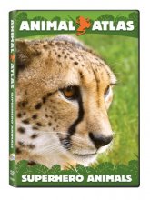 Cover art for Animal Atlas: Super Hero Animals